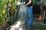 How to damp down your greenhouse