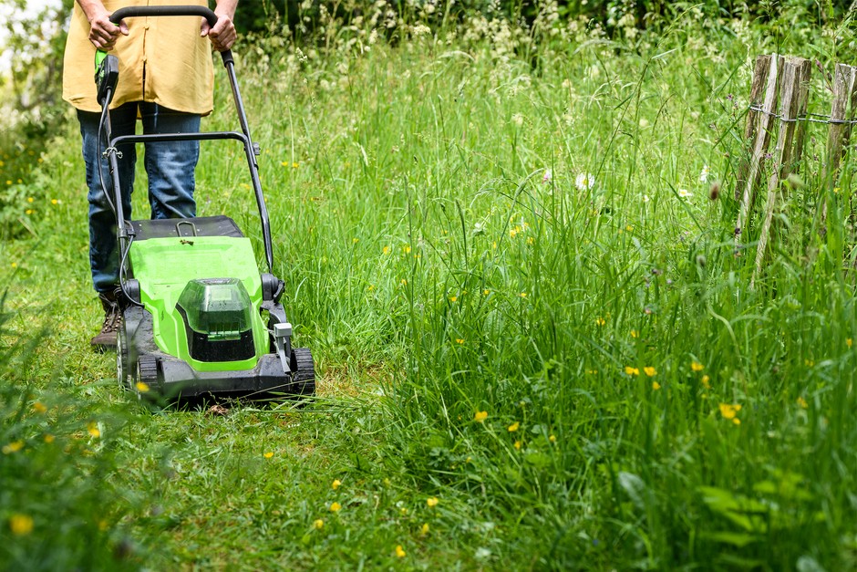 Mowing a path through wild lawn