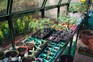 Where to site a greenhouse